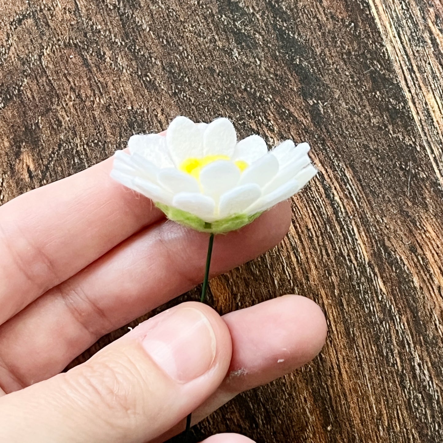 Felt Daisy Flower Stem – Handmade Chamomile Daisy – White & Yellow – No Leaves – 1/3/5/15 Stems – Felt Floral Home Decor or Gift